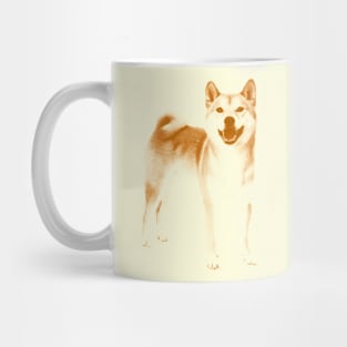 Shiba Inu :3 Mug